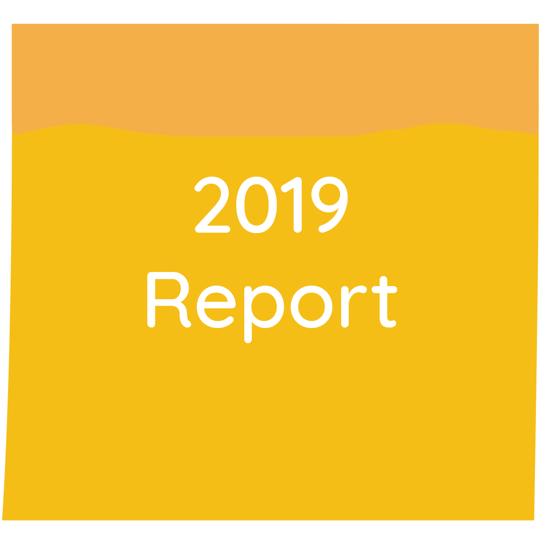 2019 Report