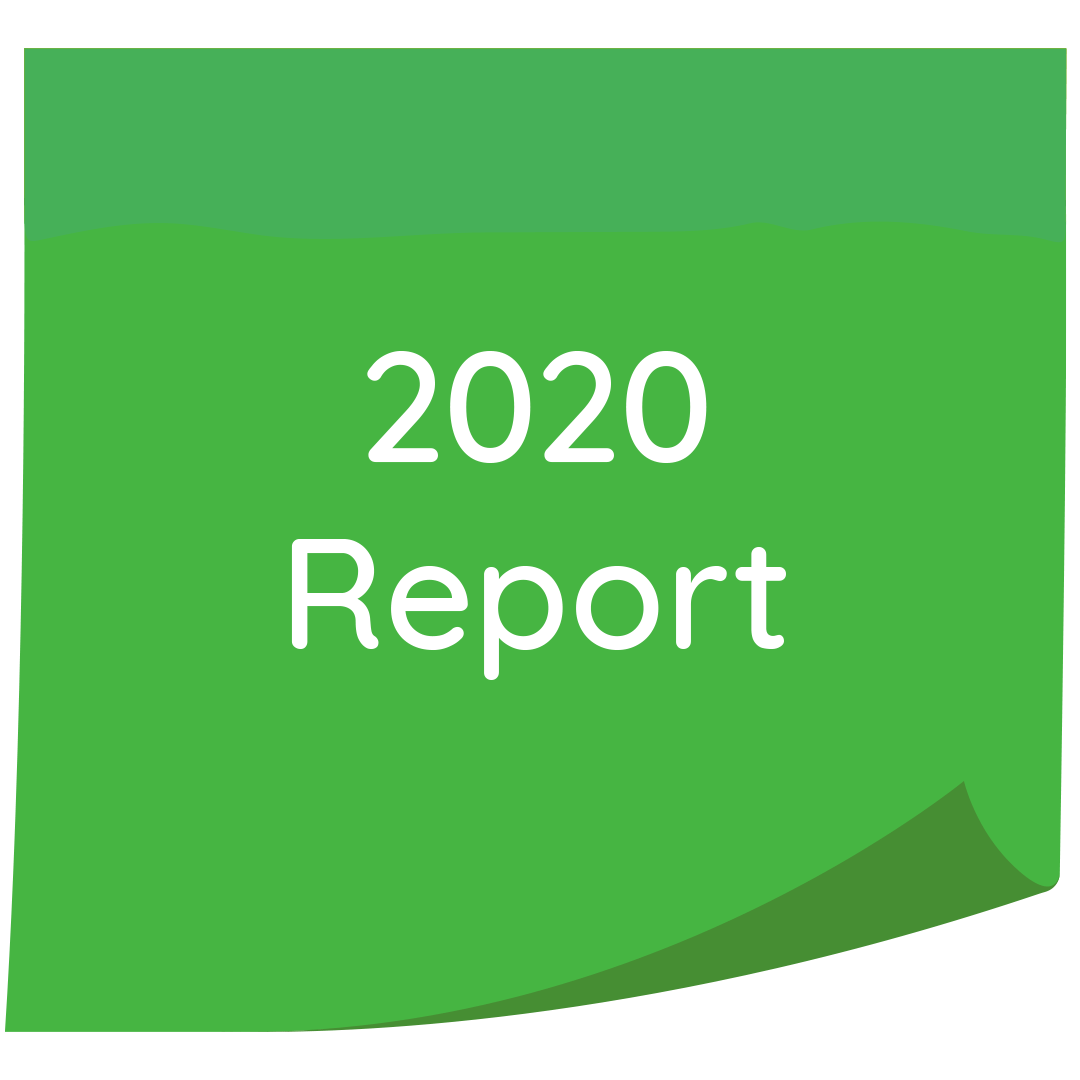 2020 Report